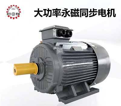 High power permanent magnet synchronous motor
