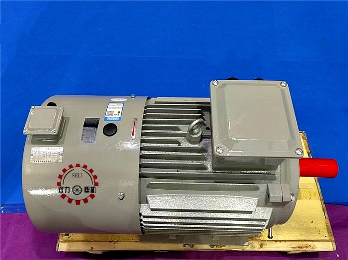 Permanent magnet synchronous motor