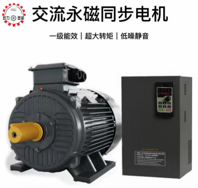 AC permanent magnet synchronous motor